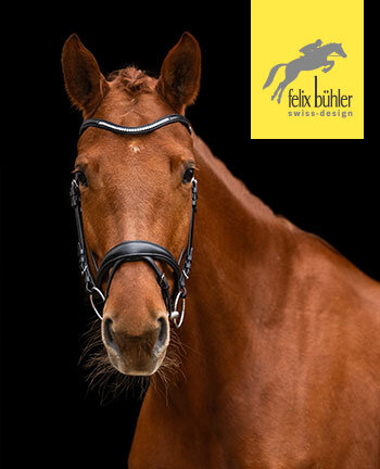 Felix Bhler Bridles