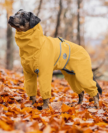 Dog Coats Brands Kramer Equestrian