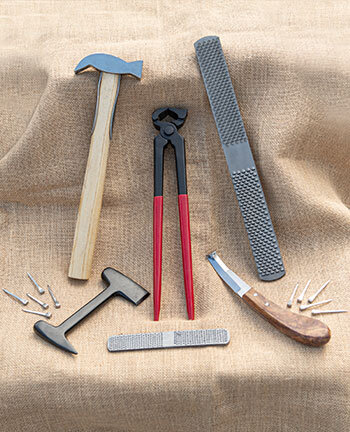 Shoeing