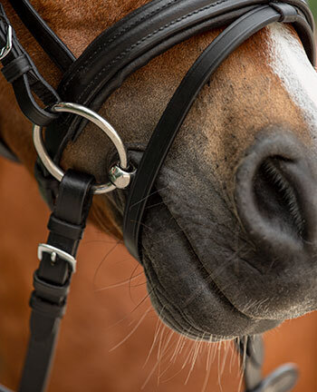 Pony Bits