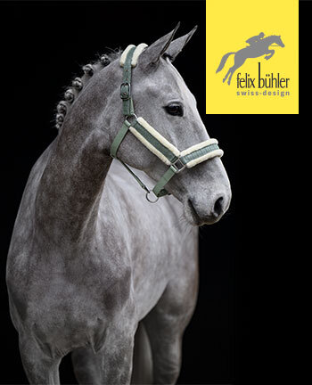 Felix Bhler Headcollars & Lead Ropes