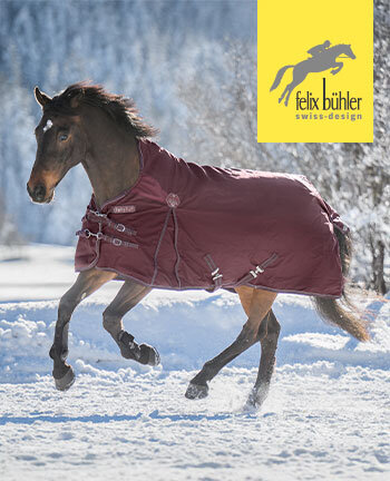 Felix Bhler Heavyweight Turnout Rugs 150g - 500g