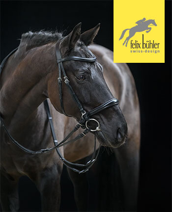 Felix Bhler Bridles