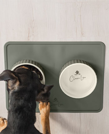Dog Bowls & Travel Accessories