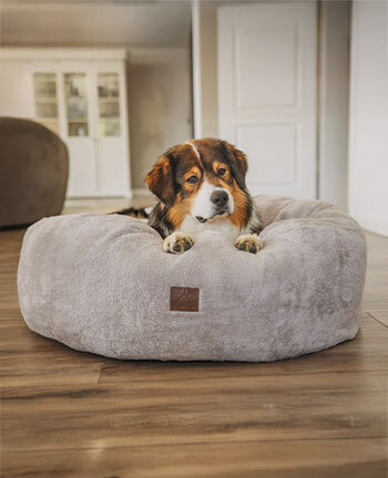 Dog Beds & Cushions