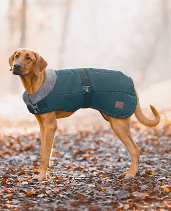 Winter coats with filling, from 50g