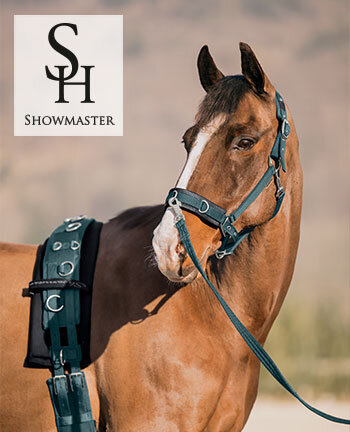 SHOWMASTER Lungeing & Horse Groundwork