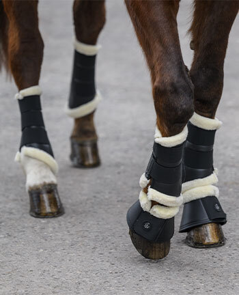 Leg & Hoof Protection