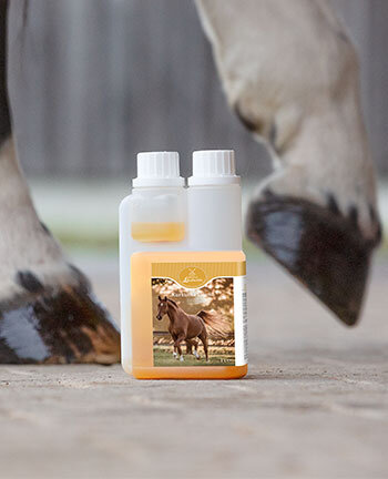 Horse Feed & Supplements
