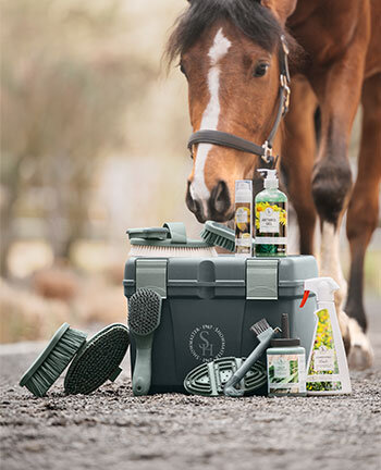 Horse Care