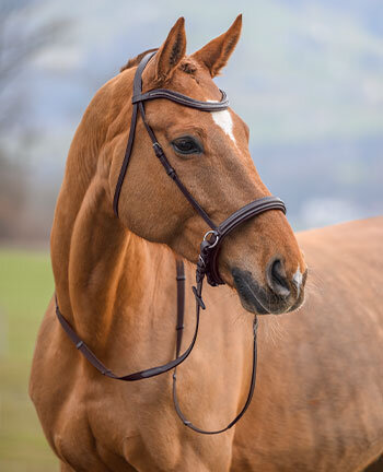 Bridles & Nosebands