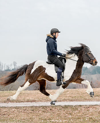 Icelandic Riding