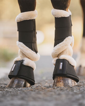 Leg & Hoof Protection