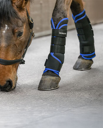 Stable & Travel Boots