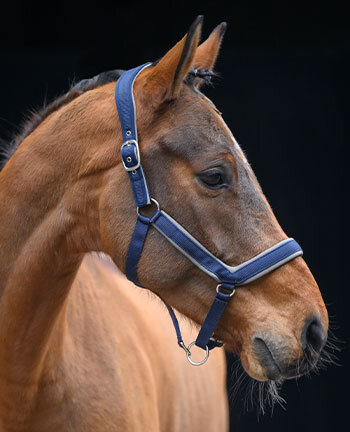 Headcollars & Lead Ropes