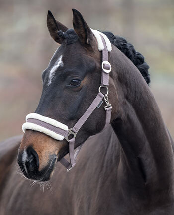 Headcollars