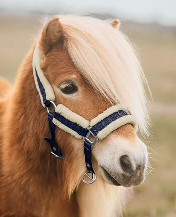 Pony & Shetlandpony Headcollars