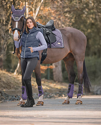 Collections for Horses