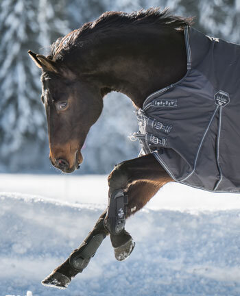 Horse Rugs