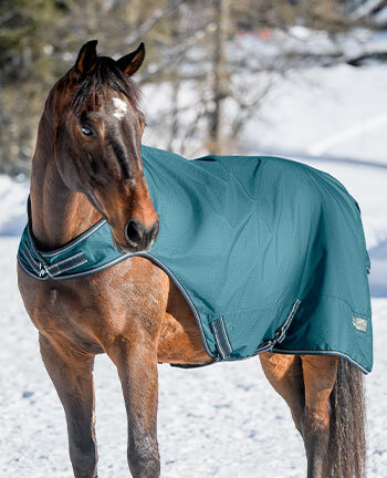 Walker & Outdoor Exercise Rugs