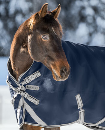 Light- & Heavyweight Turnout Rugs