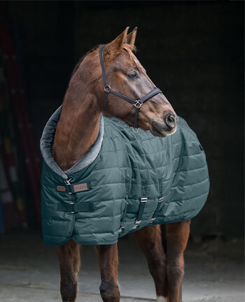 Stable Rugs