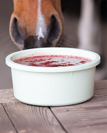 Mash & Pasture Seed
