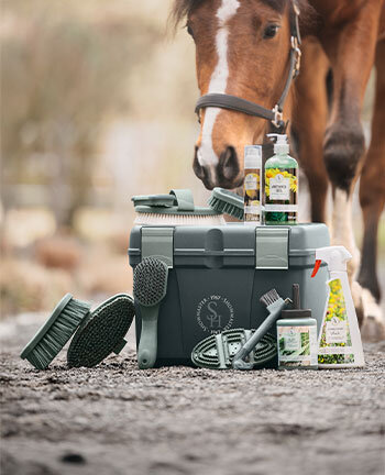 Horse Care