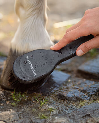 Hoof Cleaning