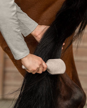 Mane & Tail