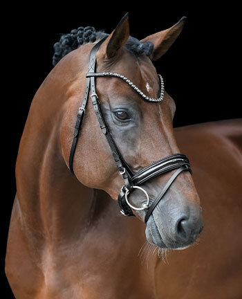 Crank Flash Bridles & Double Bridles