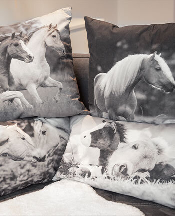 Home Accessories