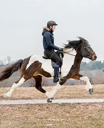 Icelandic Riding
