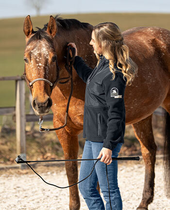 Horsemanship & Horse Groundwork