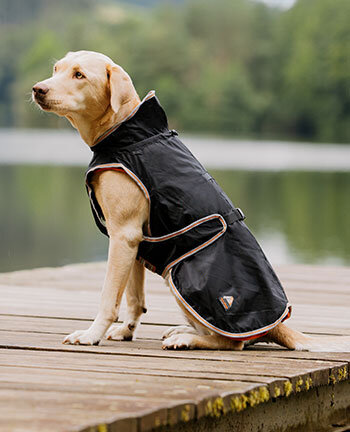 Therapy Items for Dogs