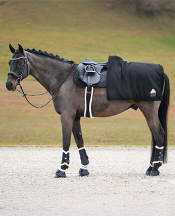 Therapy Items for Horses