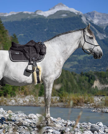Trekking Saddles & Accessories