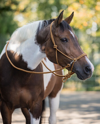 Horse Trekking Bridles & Accessories