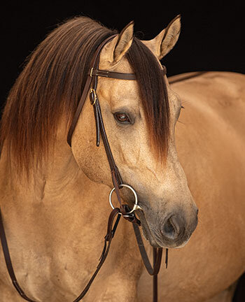 Headstalls with Straight Browbands