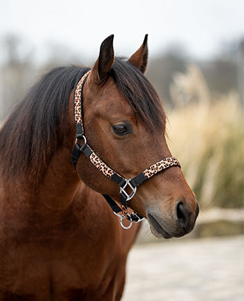 Headcollars