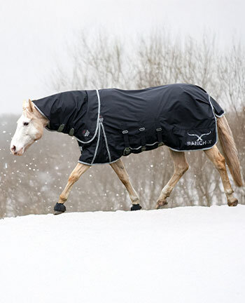Western Horse Rugs & Accessories