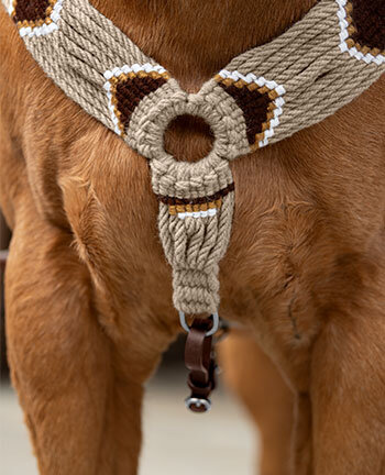 Western Breastplates