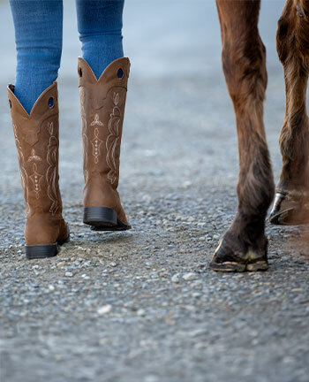 Western Boots, Chaps & Spurs