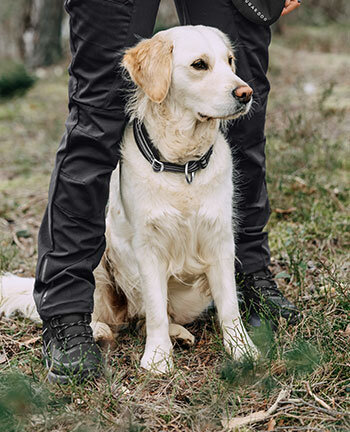 Trousers for dog owners