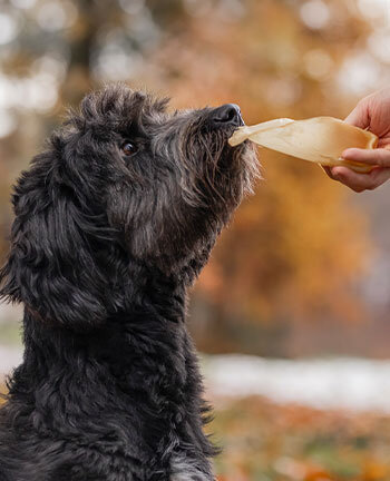 Chews & Treats