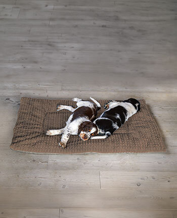 Dog cushions