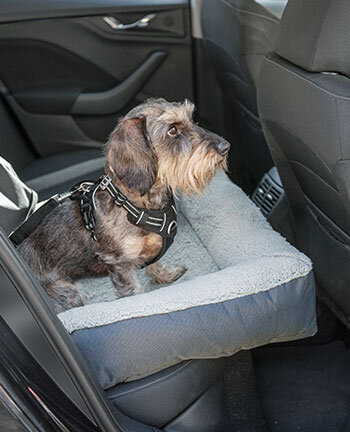 Dog travel accessories