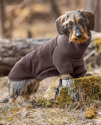 Dog coats for dachshunds