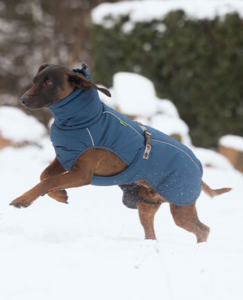 Dog Winter Coats