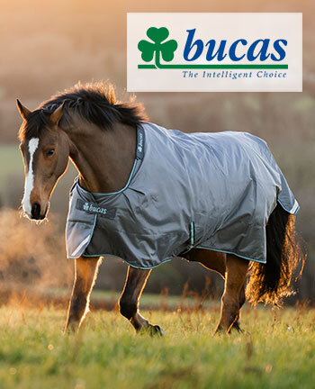 Bucas Rugs